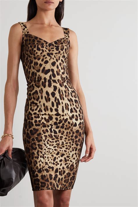 leopard dolce gabbana dress